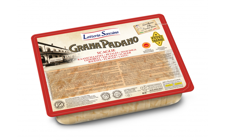 Latteria soresina grana padano flakes 1 x 500 gr