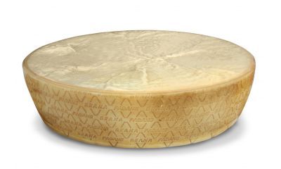 Latteria soresina grana padano oud 1/2 wiel 1 x ca. 19 kg