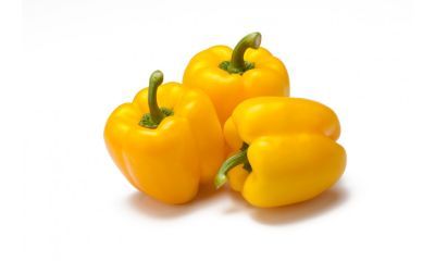 Paprika geel vers 1 x 5 kg