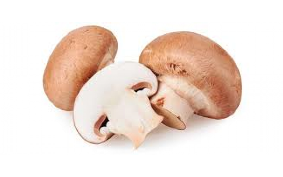 Kastanje champignons vers 1 x 2,5 kg