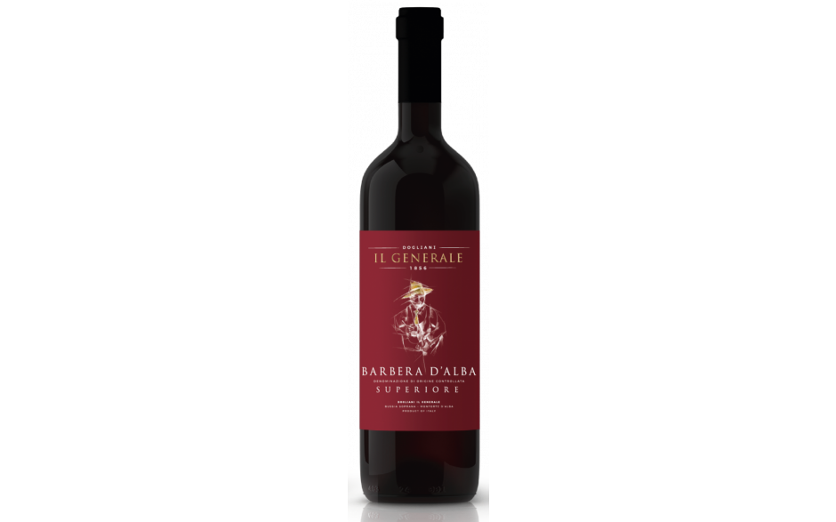 Dogliani barbera d'alba superiore 6 x 75 cl