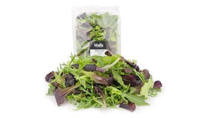 Mesclun vers 8 X 125 G