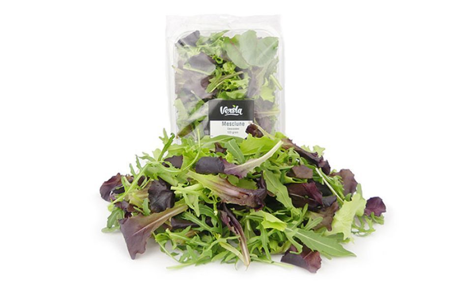 Mesclun vers 8 X 125 G