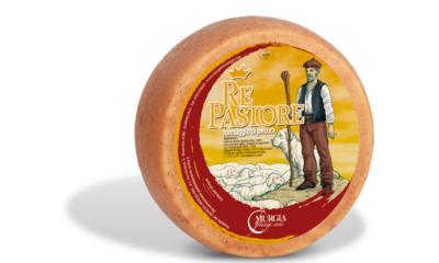 Murgia pecorino re pastore marrone in vacuum 1 x ca. 3 kg