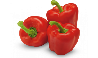 Paprika rood vers 1 x 5 kg