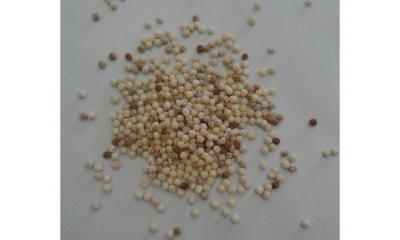 Itagel fregola media 1 x 500 G